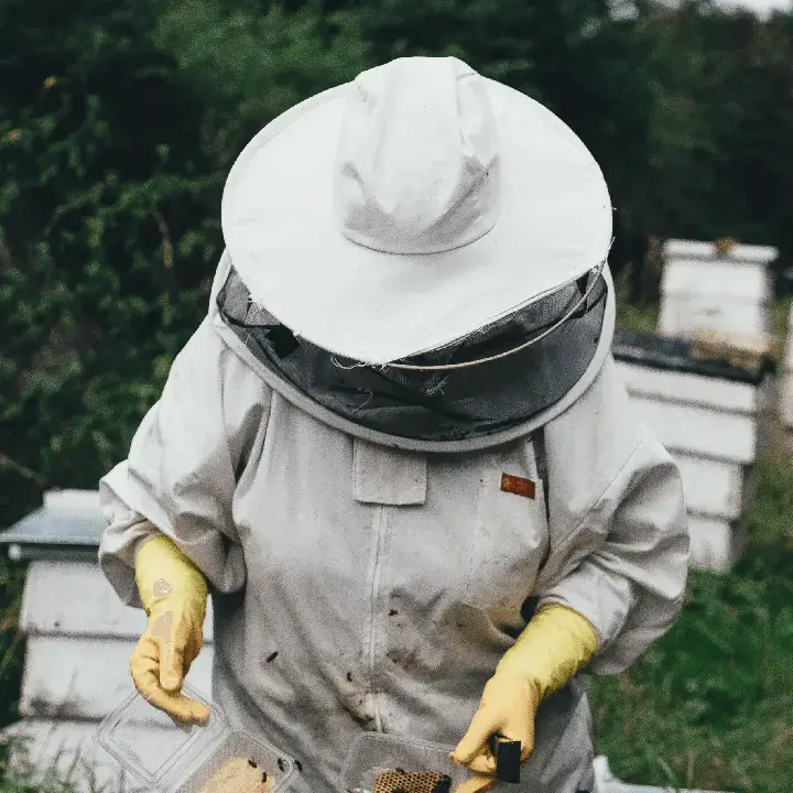 White beekeeping suit with protective gloves and veil.