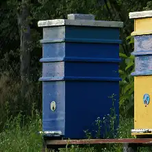 A blue wooden beehive in a field.