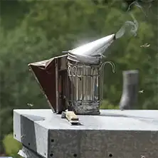 A metal bee smoker with brown bellows resting on top of a beehive.