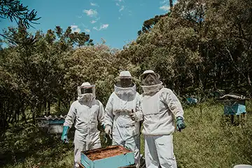 Three smiling beekeepers standing amongst beehives in sunny woodland